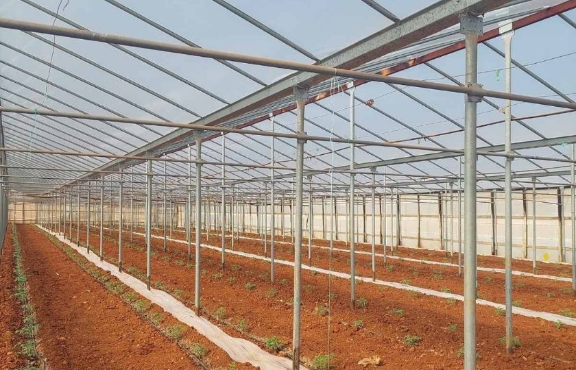 Agricultural holdings, Municipality of Kantanos - Selino, Chania